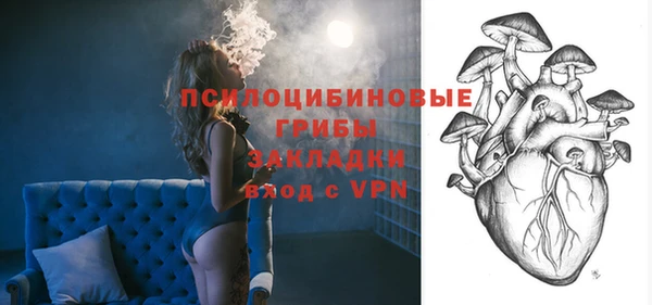 соль ск Ладушкин
