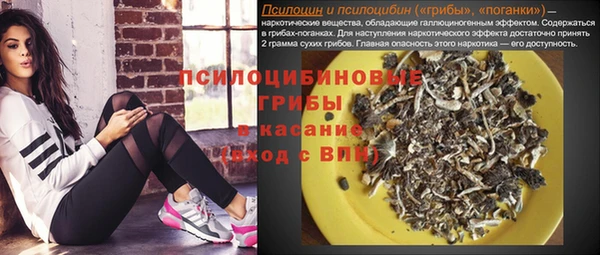 соль ск Ладушкин